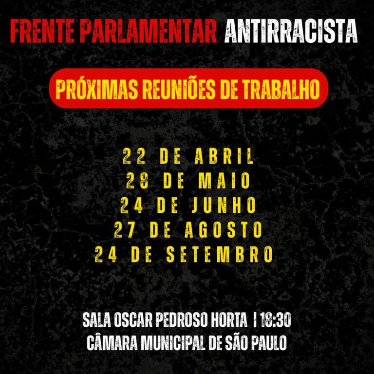 Comitê de Lutas “Marlene Rodrigues” da Zona Sul de São Paulo participa de reunião de trabalho da Frente Parlamentar antirracista.