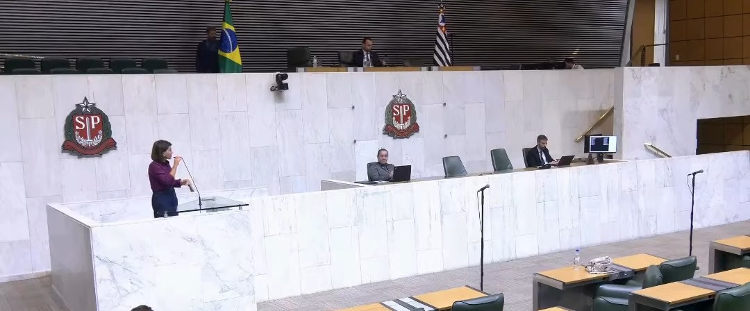 APEOESP SUBSEDE Sul SANTO AMARO na audiência pública na Alesp. 14/04/28 – BOLETIM INFORMA URGENTE 30